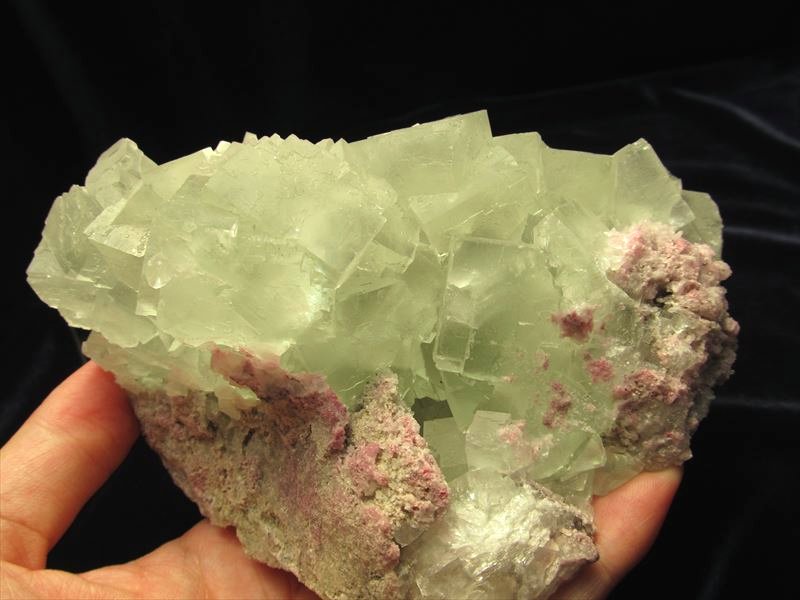 ◇1点物◇透明・美麗結晶◇広東省産◇グリーンフローライト【蛍石