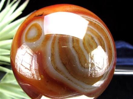 レムリアン レムリアンシード レムリアンシードクリスタル レコードキーパー レムリアンリッジ