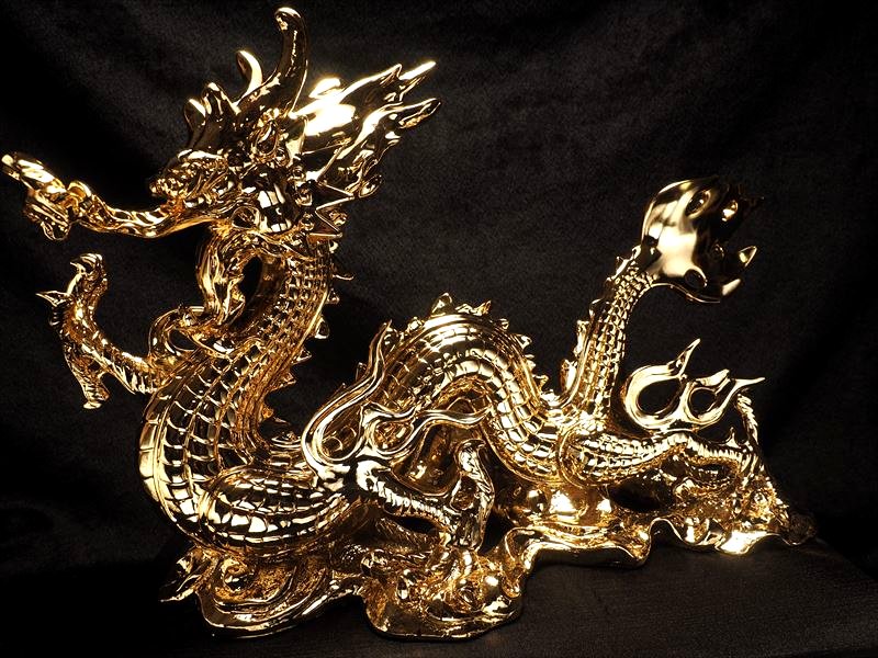五本爪龍