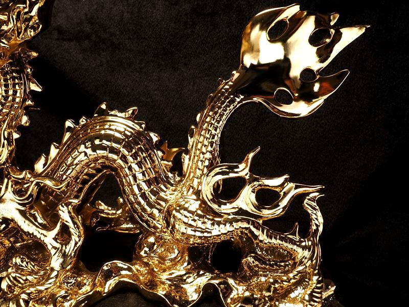 五本爪龍
