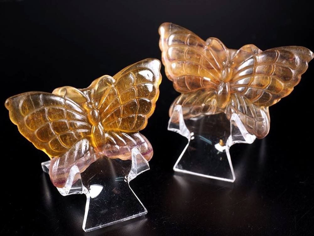 フローライトバタフライ