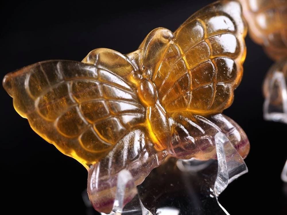 フローライトバタフライ