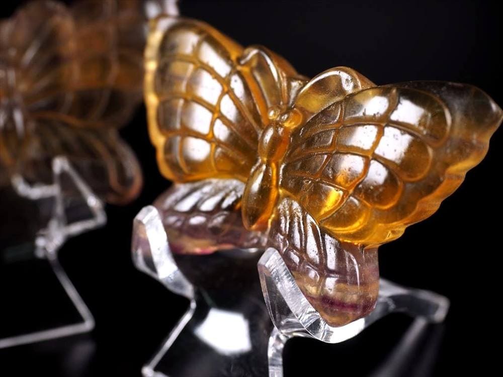 フローライトバタフライ