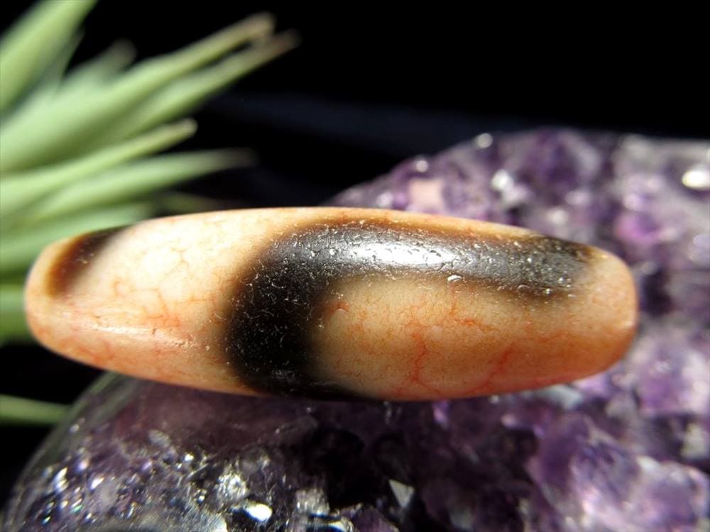 至純 龍紅 馬蹄痕 白天珠 白蛇白天珠