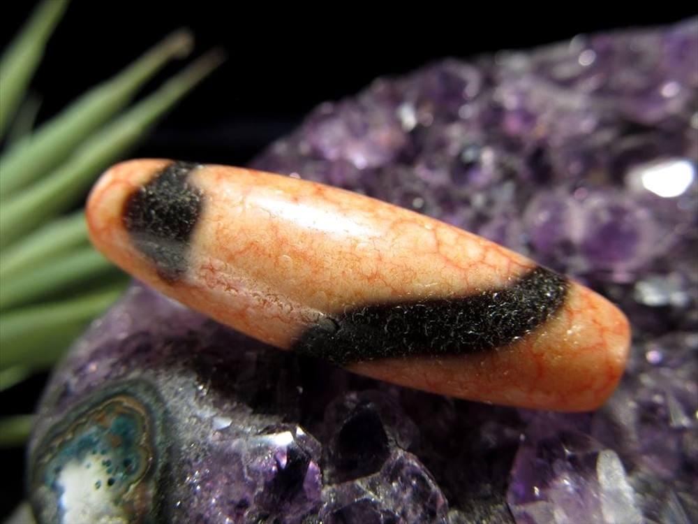至純 龍紅 馬蹄痕 白天珠 白蛇白天珠
