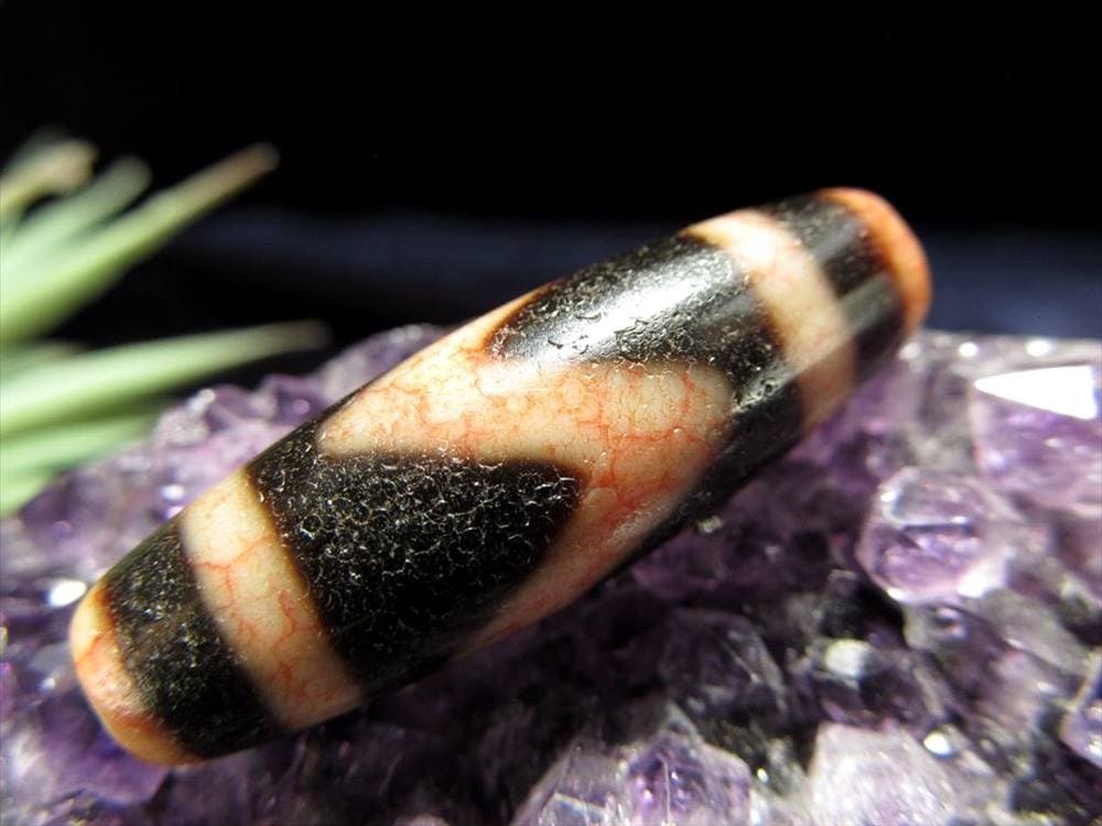 至純 龍紅 馬蹄痕 白天珠 虎牙白天珠