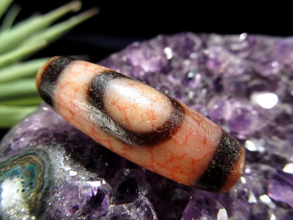至純 龍紅 馬蹄痕 白天珠 天地白天珠
