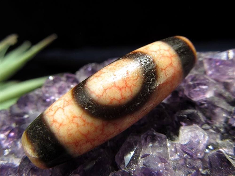 至純 龍紅 馬蹄痕 白天珠 天地白天珠