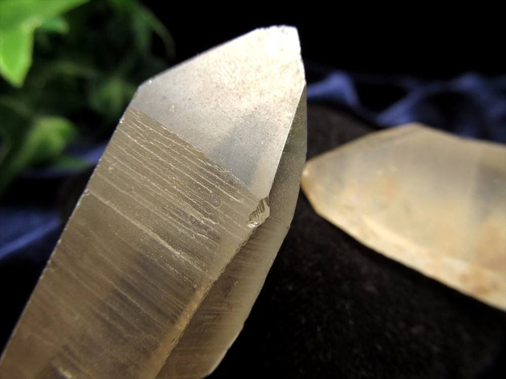 ゴールデン レムリアン レムリアンシード レムリアンシードクリスタル シンギングクリスタル