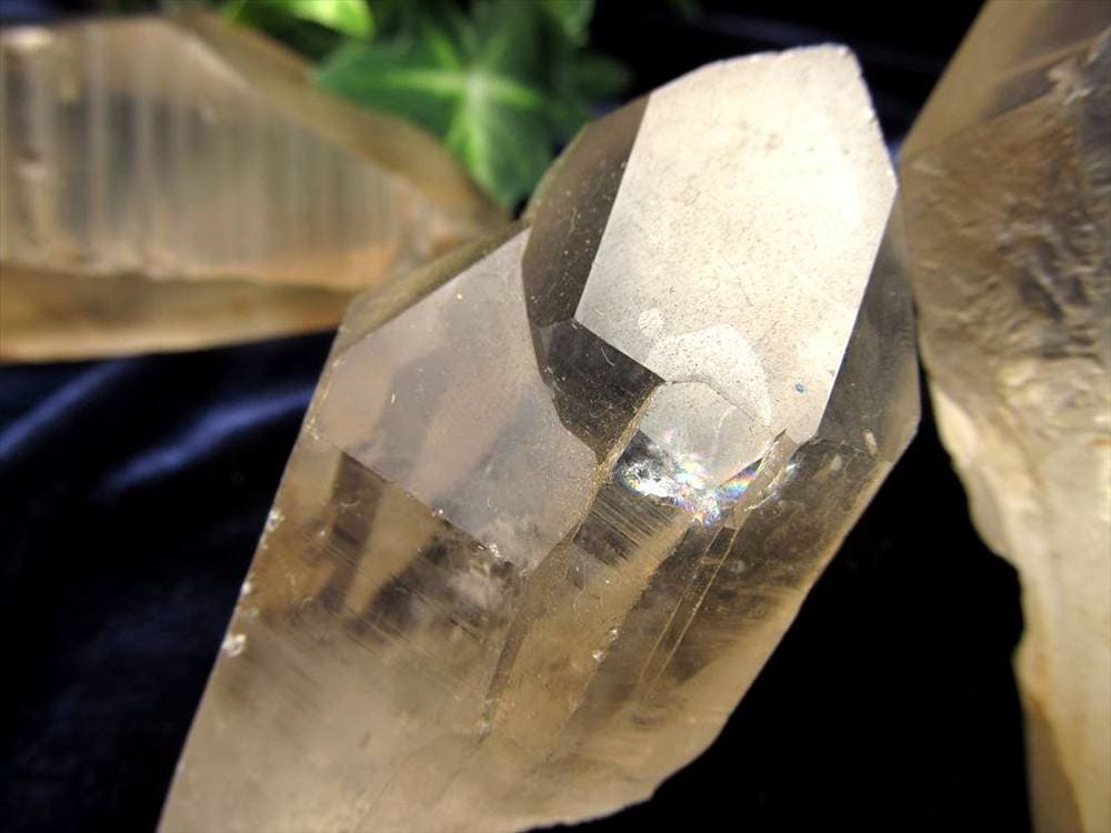 ゴールデン レムリアン レムリアンシード レムリアンシードクリスタル シンギングクリスタル