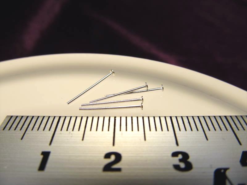 GP-MP-PIN040-2.JPG