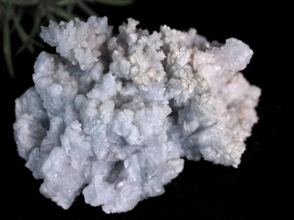 アラゴナイト フロスフェリ 山珊瑚 ブルーアラゴナイト 霰石