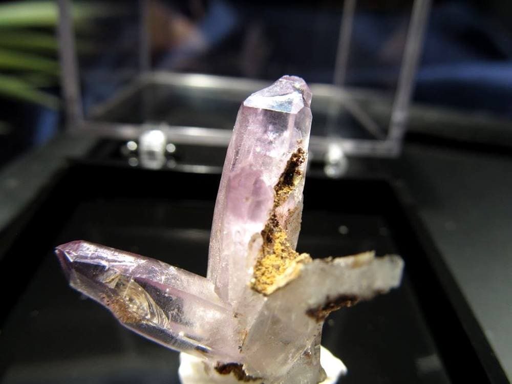 アメジスト ベラクルス州 結晶 原石 世界で最も美しい
