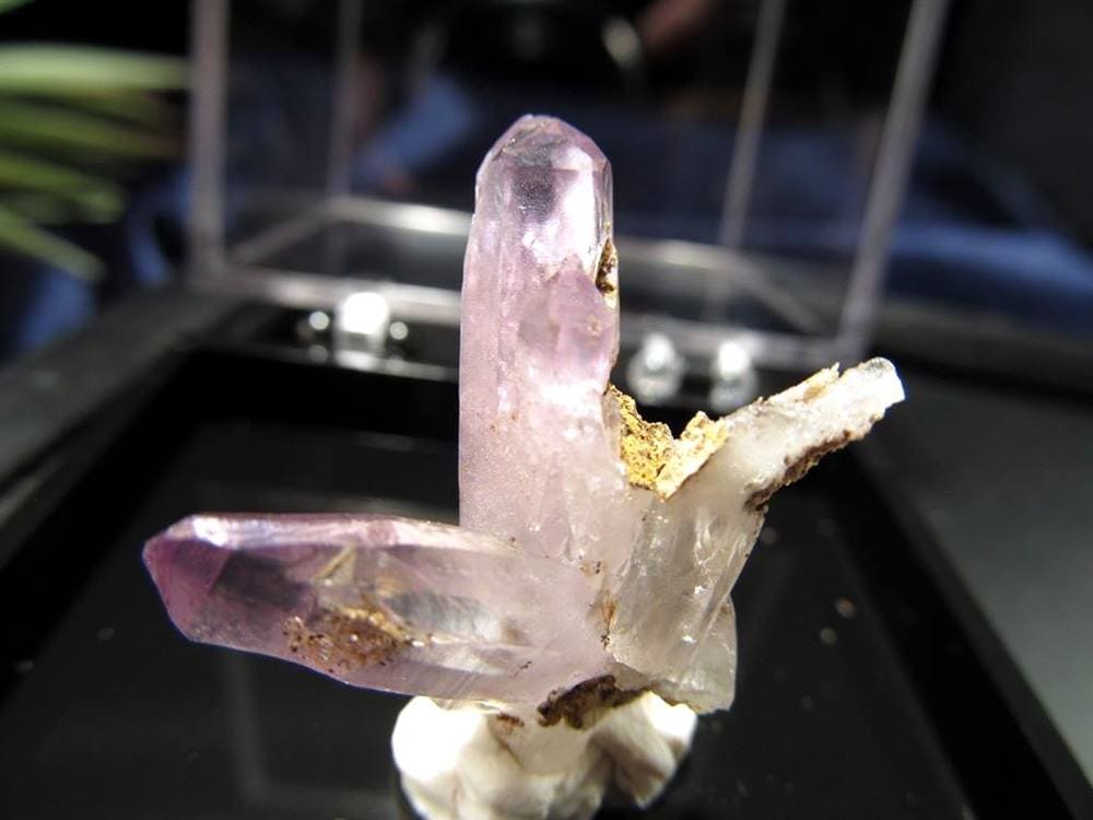 アメジスト ベラクルス州 結晶 原石 世界で最も美しい