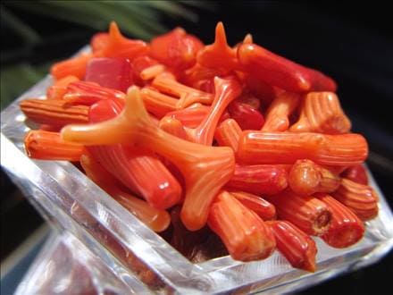 さざれ 細石 レッドコーラル 紅珊瑚 サンゴ