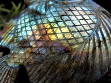 ディスカス 置物 ラブラドライト 熱帯魚の王様 彫刻