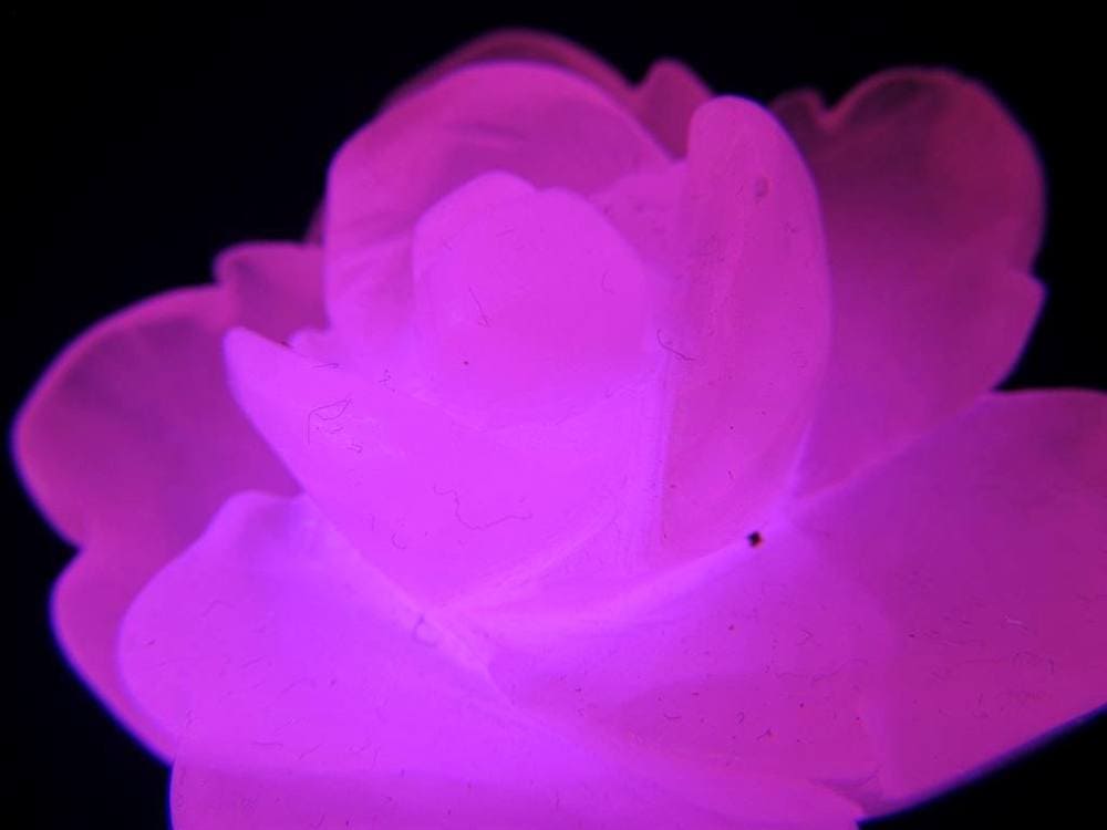 マンガンカルサイト ピンクカルサイト 薔薇 バラ パワーストーン