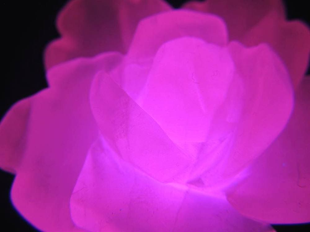 マンガンカルサイト ピンクカルサイト 薔薇 バラ パワーストーン