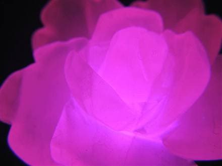 マンガンカルサイト ピンクカルサイト 薔薇 バラ パワーストーン