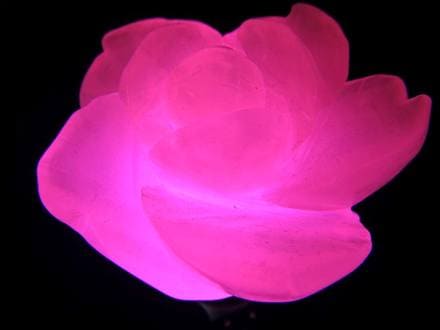 マンガンカルサイト ピンクカルサイト 薔薇 バラ パワーストーン