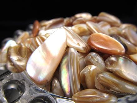 細石 チップ ちっぷ シェル パール