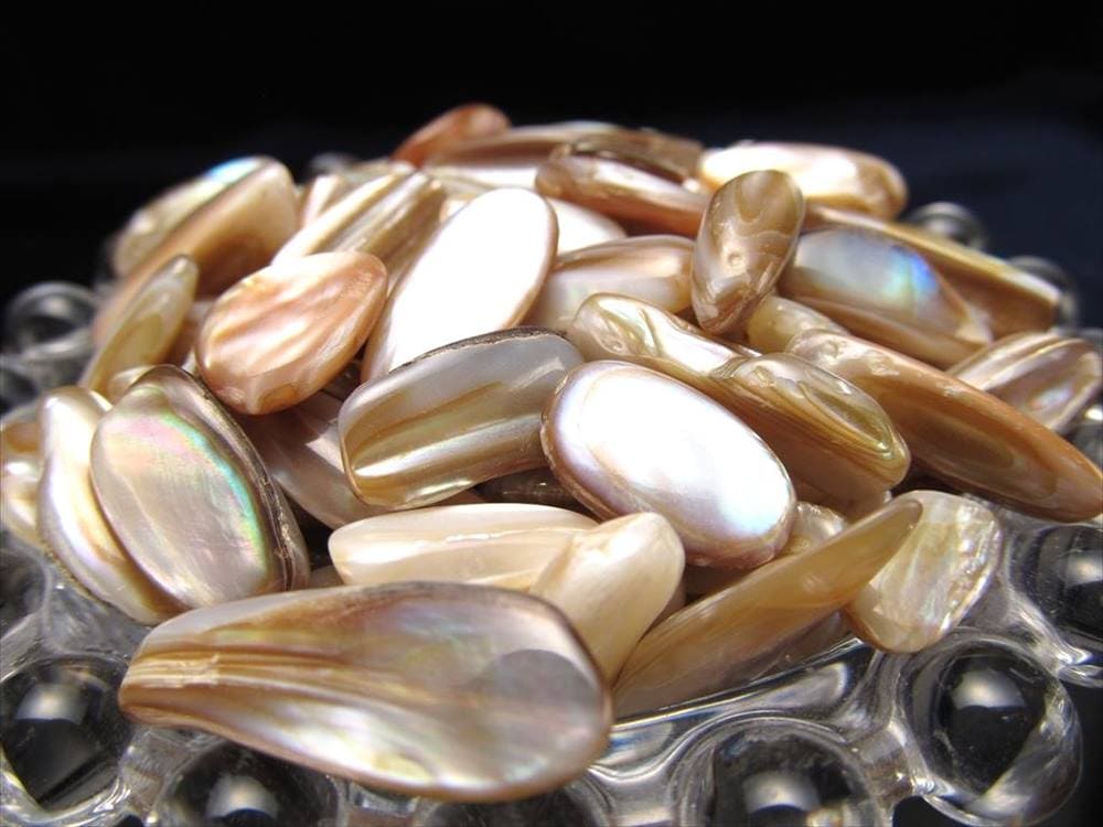 細石 チップ ちっぷ シェル パール