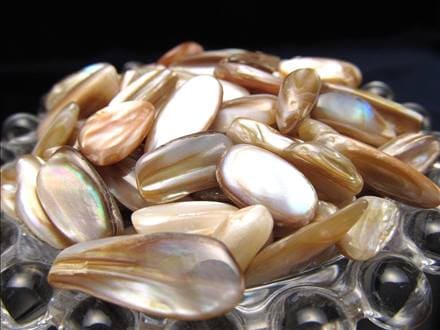 細石 チップ ちっぷ シェル パール