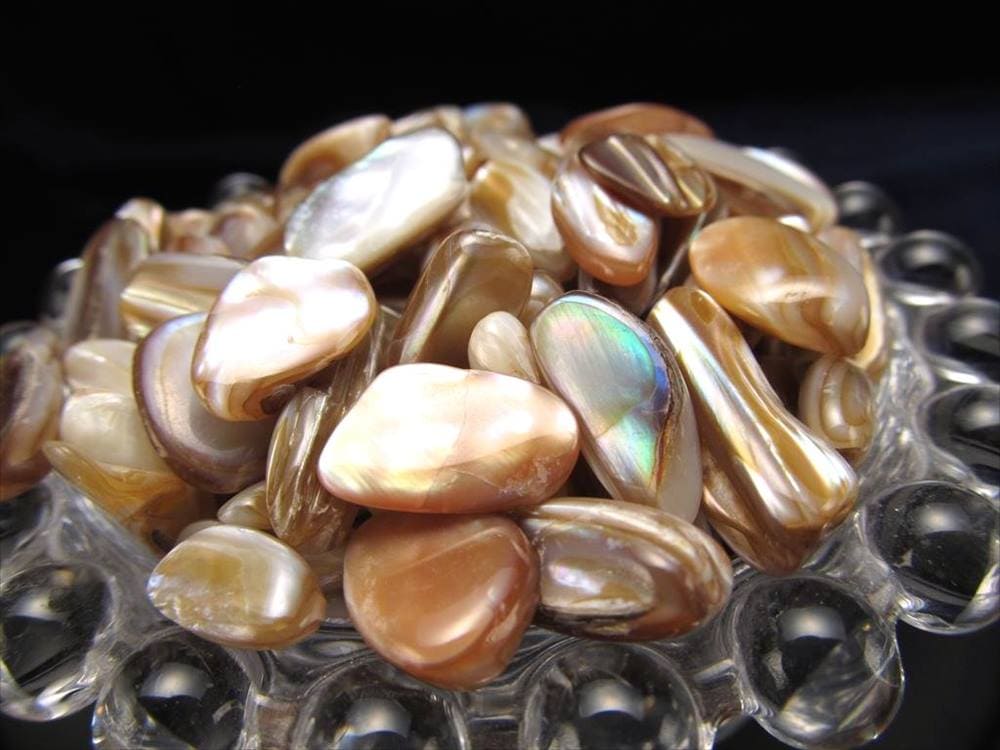 細石 チップ ちっぷ シェル パール