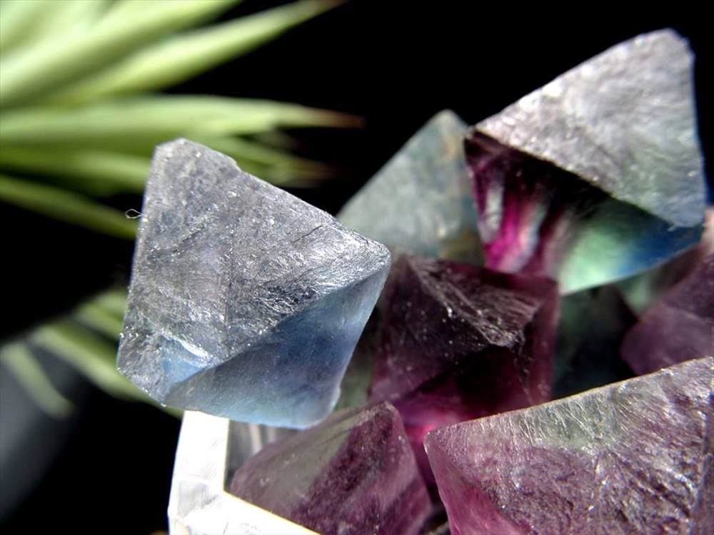 フローライト 蛍石 結晶 原石 フローライト8面体結晶