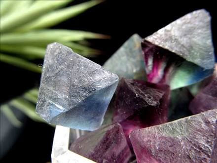 フローライト 蛍石 結晶 原石 フローライト8面体結晶