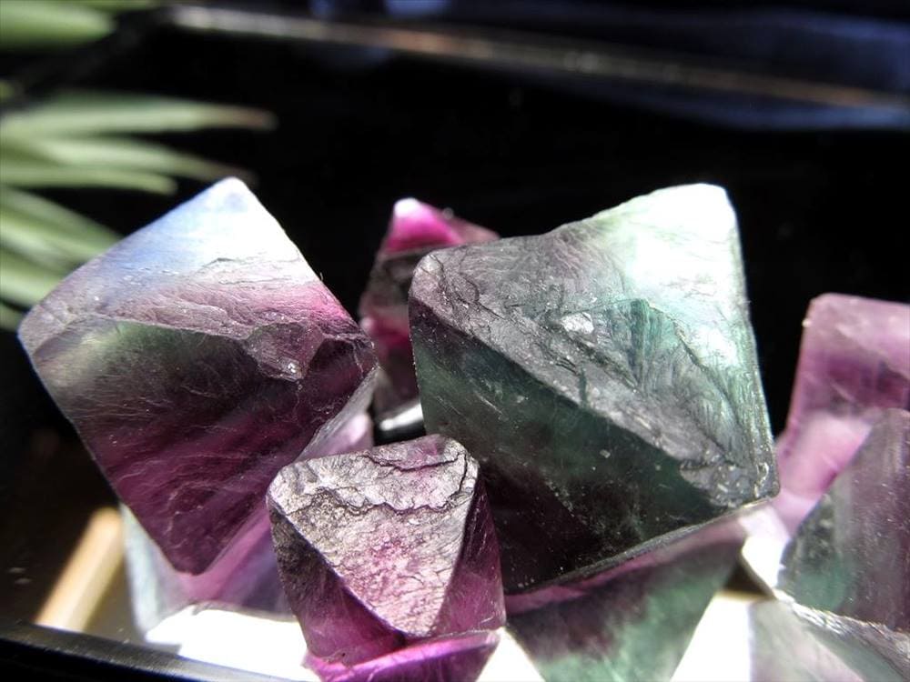 フローライト 蛍石 結晶 原石 フローライト8面体結晶