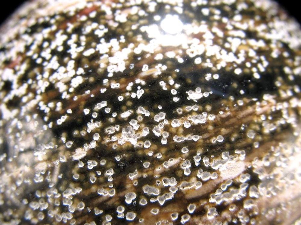 オーシャンジャスパー オビキュラージャスパー ジャスパー 碧玉 丸玉 スフィア