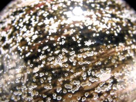 オーシャンジャスパー オビキュラージャスパー ジャスパー 碧玉 丸玉 スフィア