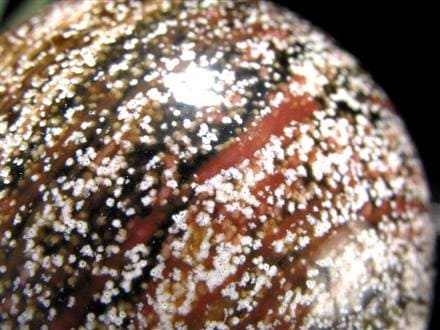 オーシャンジャスパー オビキュラージャスパー ジャスパー 碧玉 丸玉 スフィア