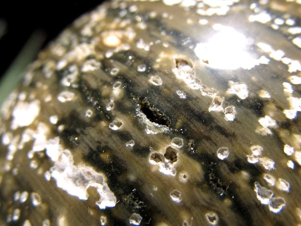 オーシャンジャスパー オビキュラージャスパー ジャスパー 碧玉 丸玉 スフィア