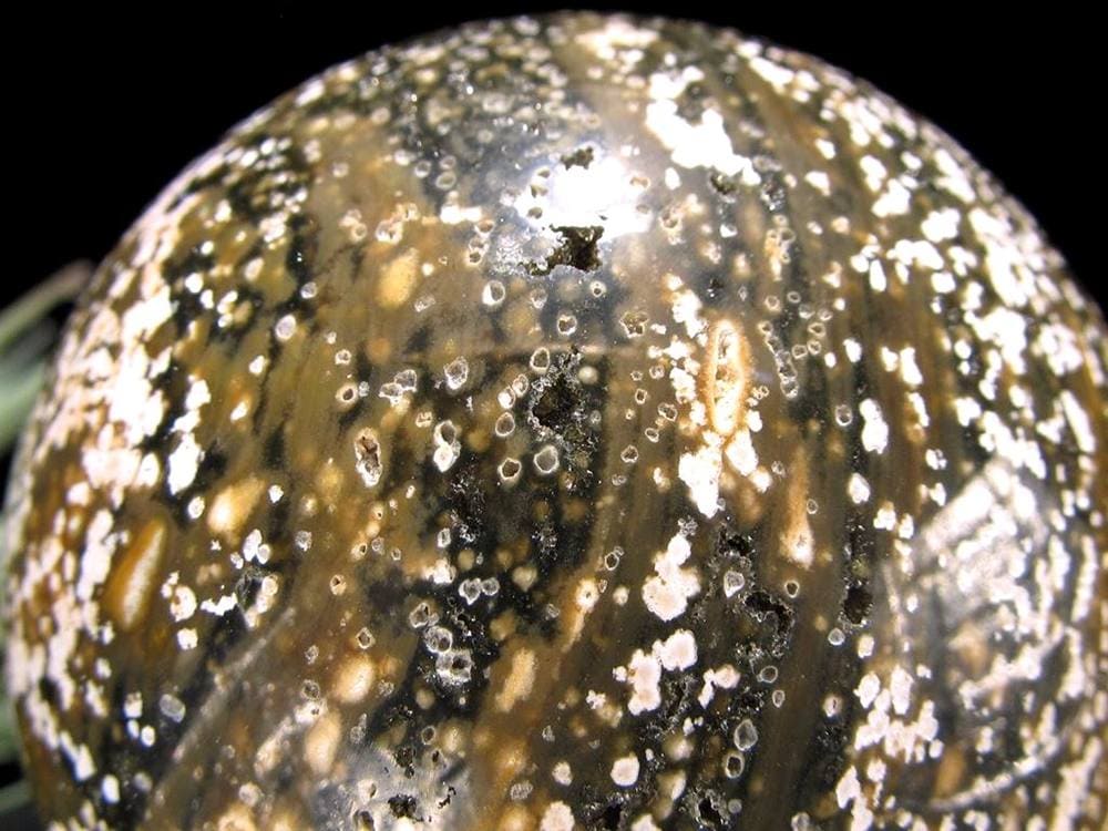 オーシャンジャスパー オビキュラージャスパー ジャスパー 碧玉 丸玉 スフィア