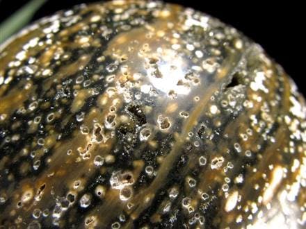 オーシャンジャスパー オビキュラージャスパー ジャスパー 碧玉 丸玉 スフィア