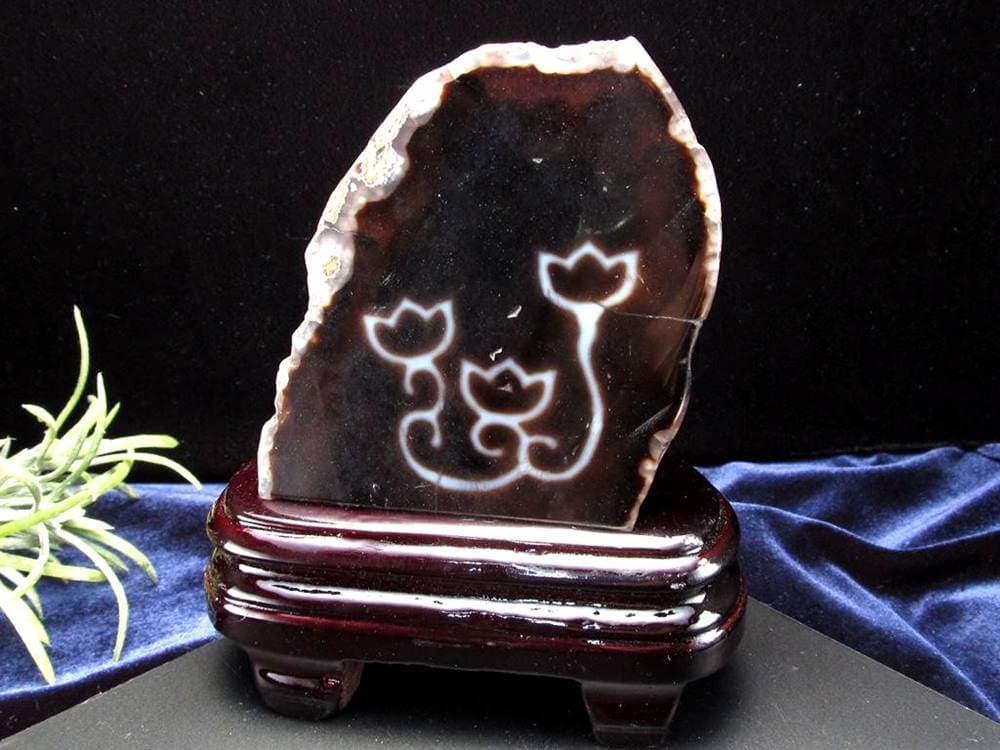 天珠 水蓮花天珠 水蓮花 瑪瑙 置物