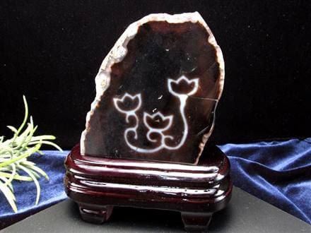 天珠 水蓮花天珠 水蓮花 瑪瑙 置物