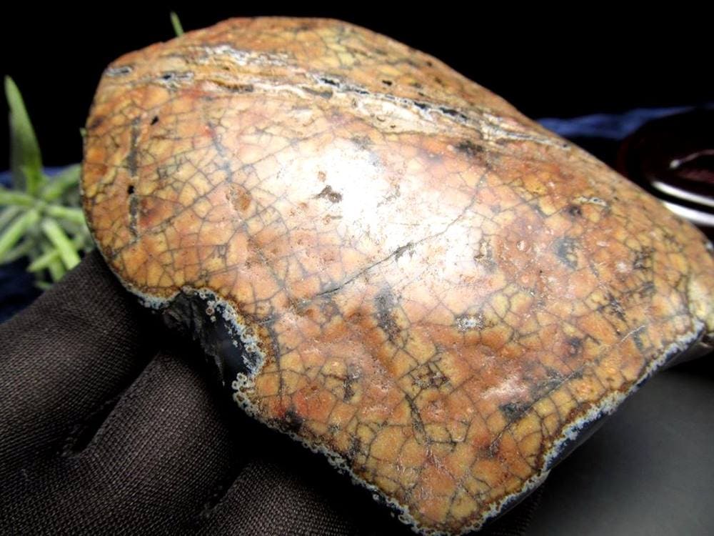 天珠 水蓮花天珠 水蓮花 瑪瑙 置物