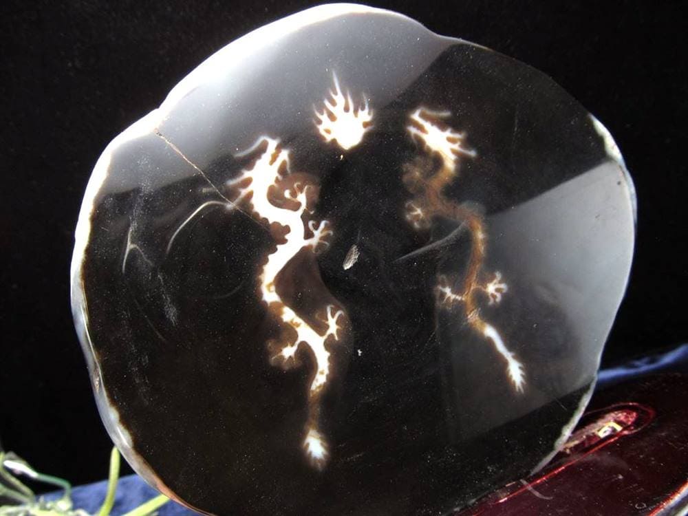 天珠 龍神天珠 双龍神 瑪瑙 置物