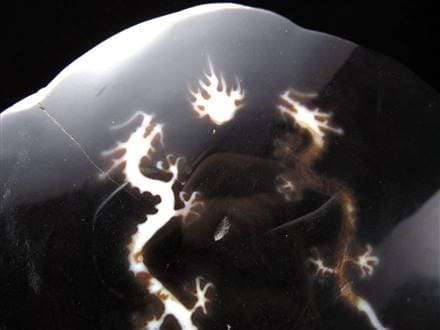 天珠 龍神天珠 双龍神 瑪瑙 置物