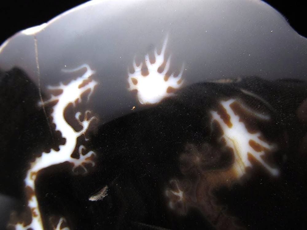 天珠 龍神天珠 双龍神 瑪瑙 置物