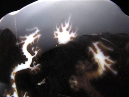 天珠 龍神天珠 双龍神 瑪瑙 置物