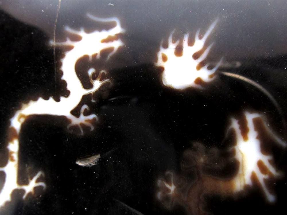 天珠 龍神天珠 双龍神 瑪瑙 置物