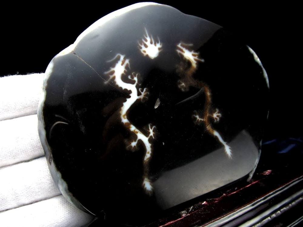 天珠 龍神天珠 双龍神 瑪瑙 置物