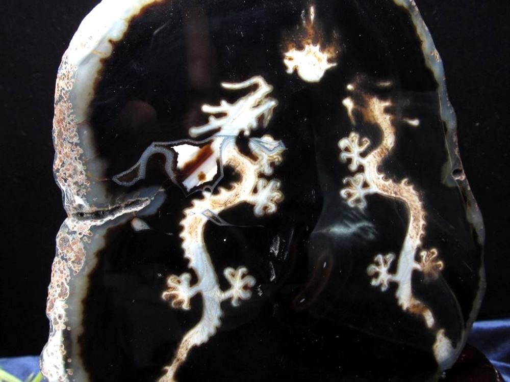 天珠 龍神天珠 双龍神 瑪瑙 置物