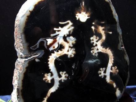 天珠 龍神天珠 双龍神 瑪瑙 置物