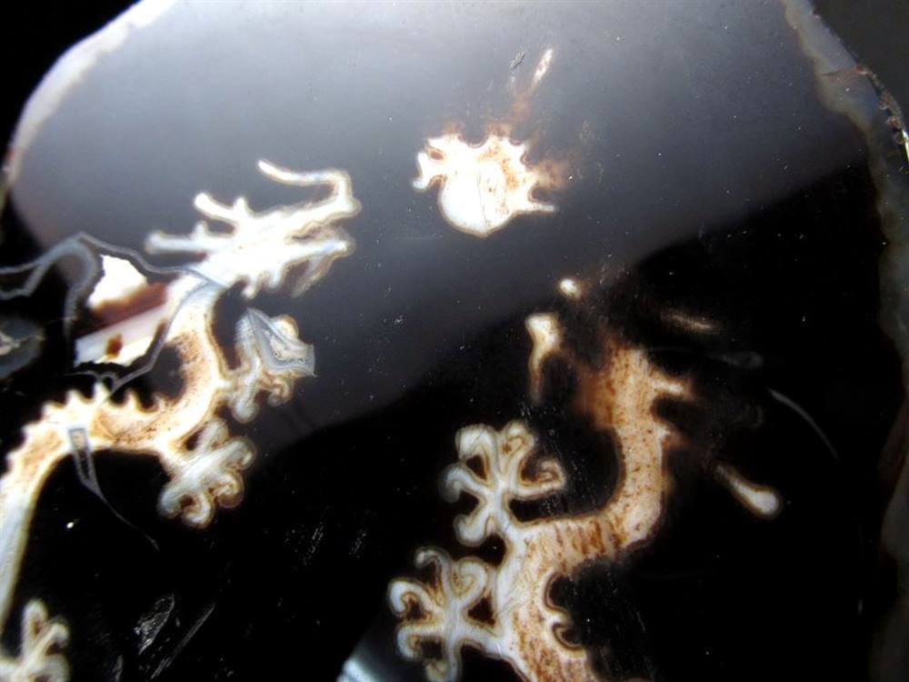 天珠 龍神天珠 双龍神 瑪瑙 置物