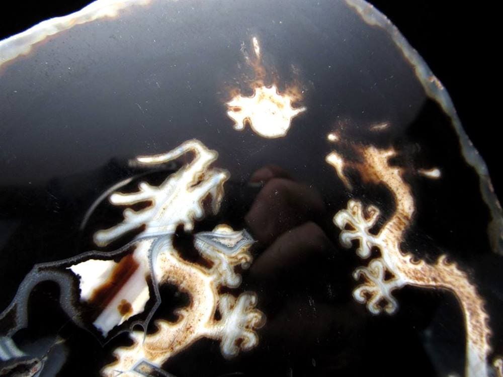 天珠 龍神天珠 双龍神 瑪瑙 置物